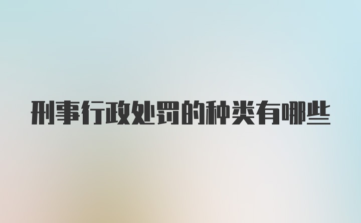 刑事行政处罚的种类有哪些