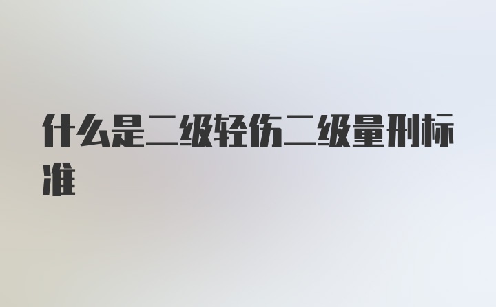 什么是二级轻伤二级量刑标准