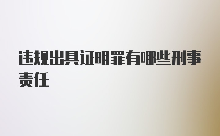 违规出具证明罪有哪些刑事责任