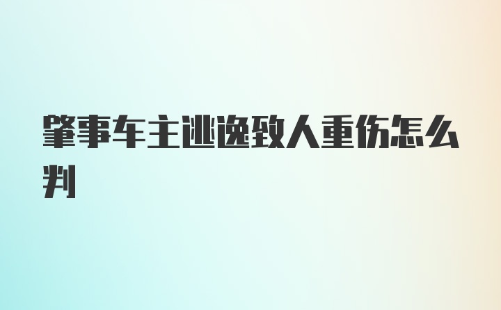 肇事车主逃逸致人重伤怎么判