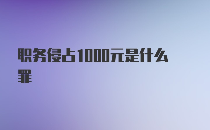 职务侵占1000元是什么罪