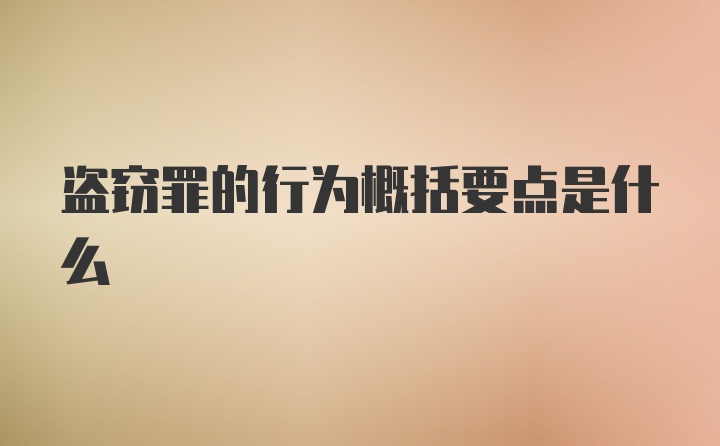 盗窃罪的行为概括要点是什么