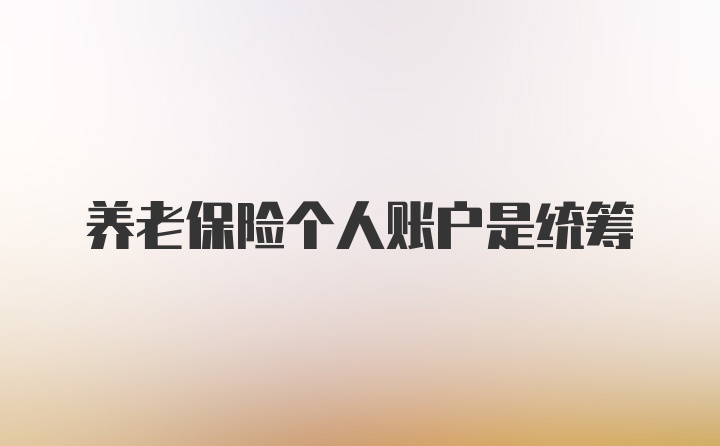 养老保险个人账户是统筹