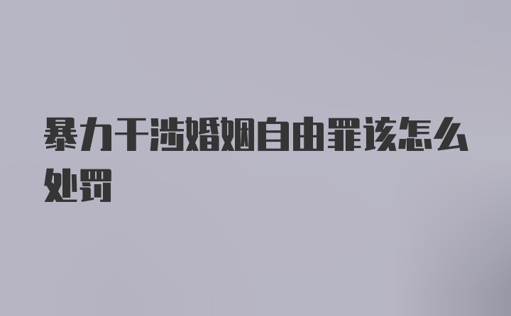 暴力干涉婚姻自由罪该怎么处罚