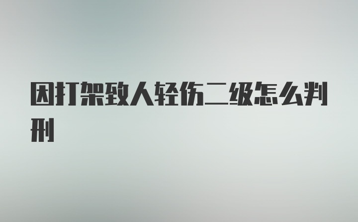 因打架致人轻伤二级怎么判刑