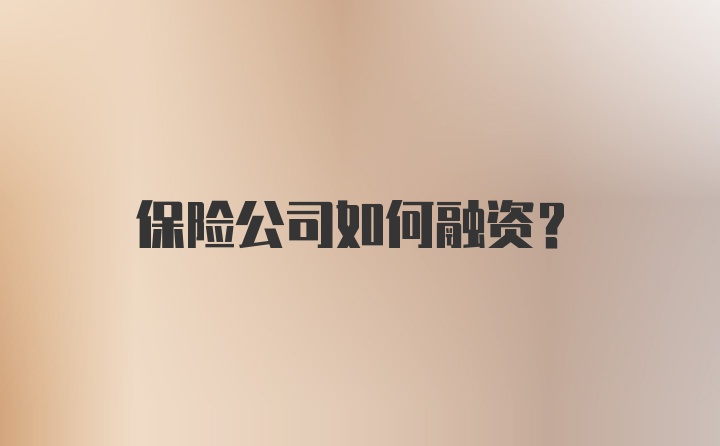 保险公司如何融资？