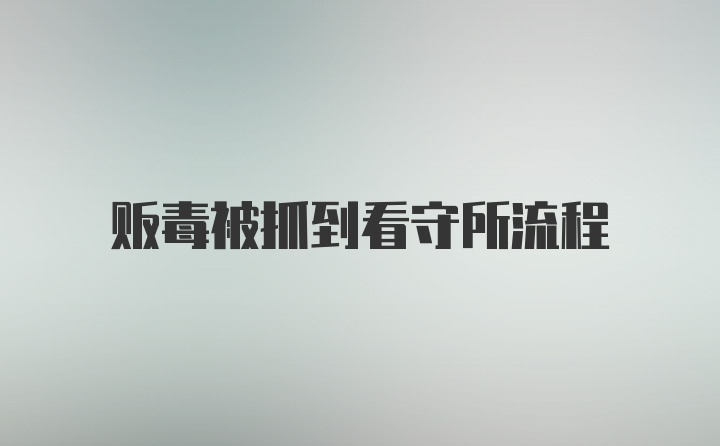 贩毒被抓到看守所流程