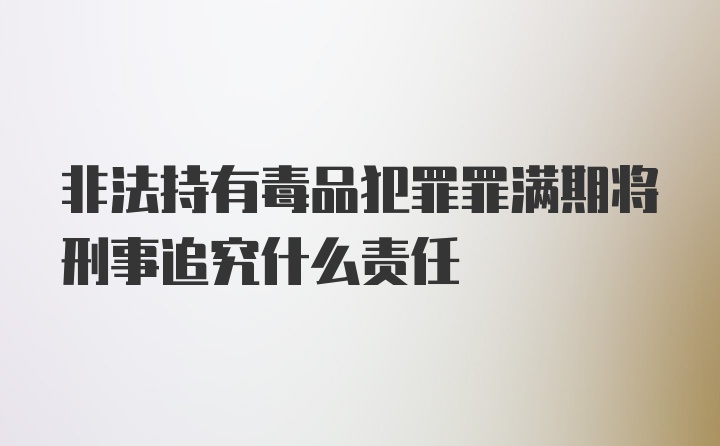 非法持有毒品犯罪罪满期将刑事追究什么责任