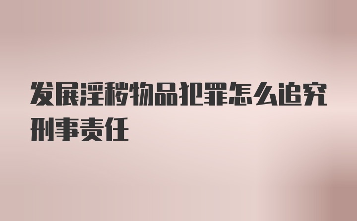 发展淫秽物品犯罪怎么追究刑事责任