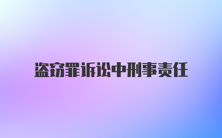 盗窃罪诉讼中刑事责任