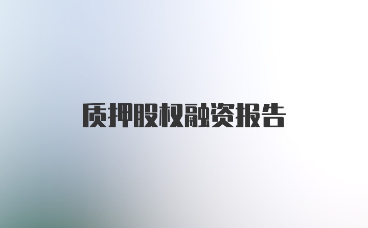 质押股权融资报告