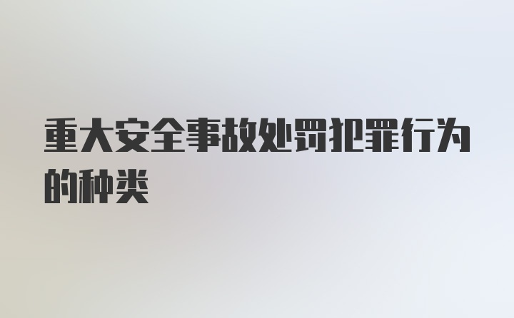 重大安全事故处罚犯罪行为的种类