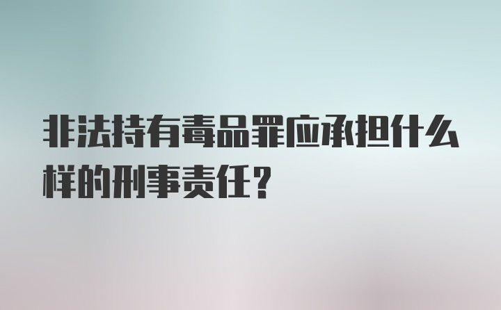 非法持有毒品罪应承担什么样的刑事责任？