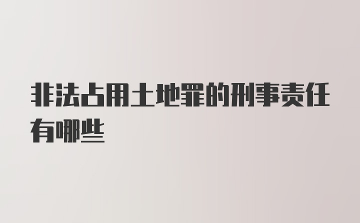 非法占用土地罪的刑事责任有哪些