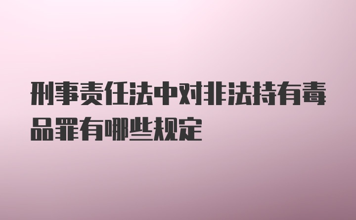 刑事责任法中对非法持有毒品罪有哪些规定