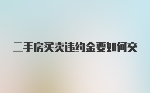 二手房买卖违约金要如何交