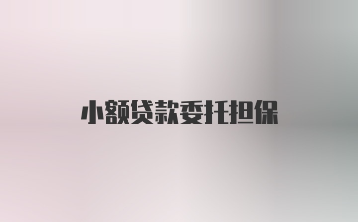 小额贷款委托担保