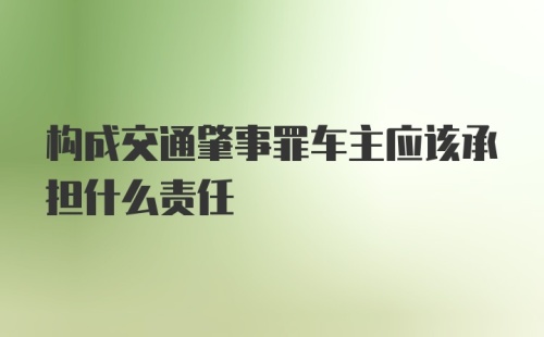 构成交通肇事罪车主应该承担什么责任