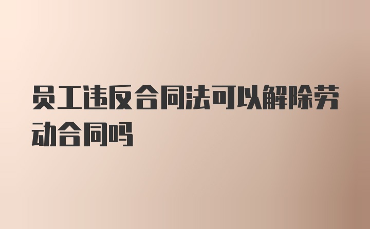 员工违反合同法可以解除劳动合同吗