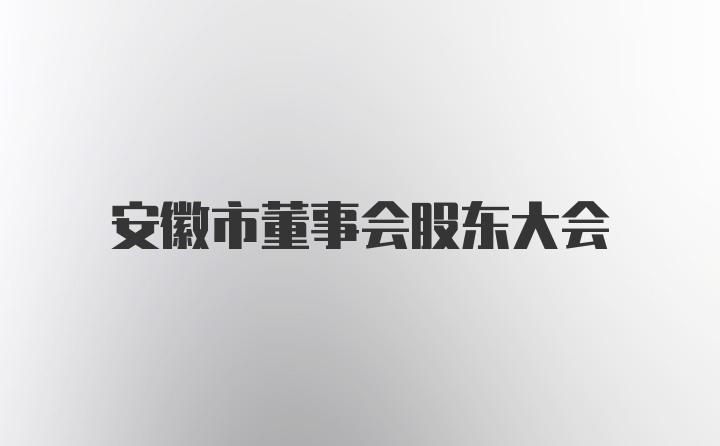 安徽市董事会股东大会