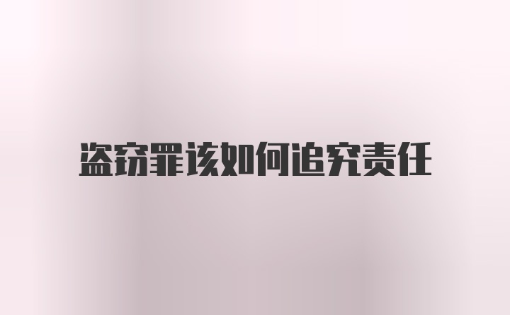 盗窃罪该如何追究责任