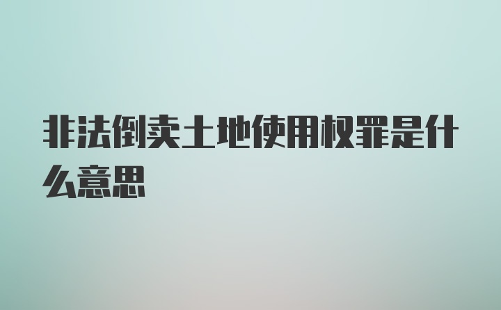 非法倒卖土地使用权罪是什么意思