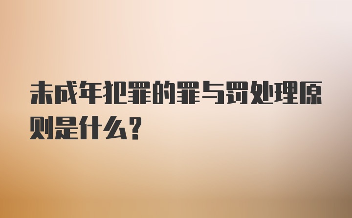 未成年犯罪的罪与罚处理原则是什么？