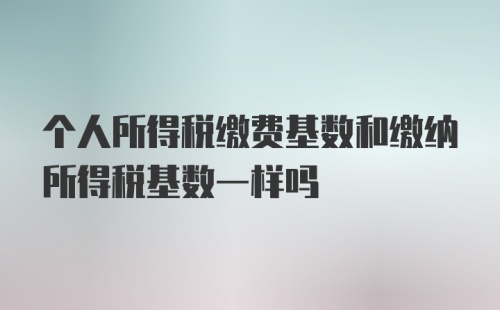 个人所得税缴费基数和缴纳所得税基数一样吗