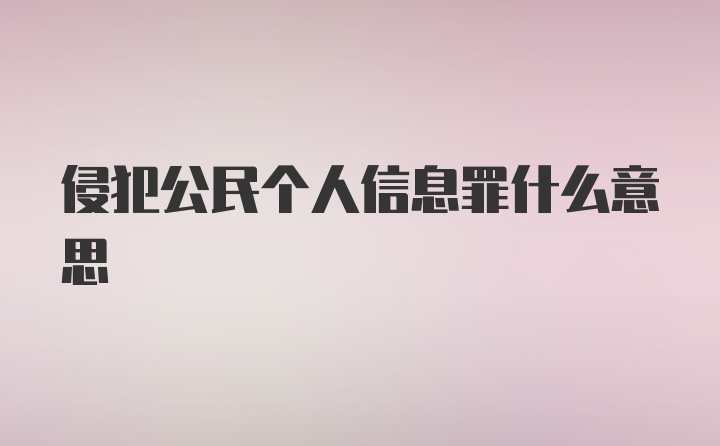 侵犯公民个人信息罪什么意思