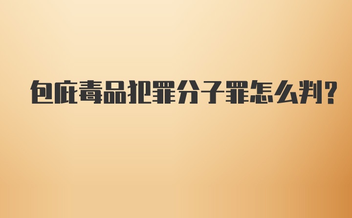 包庇毒品犯罪分子罪怎么判？