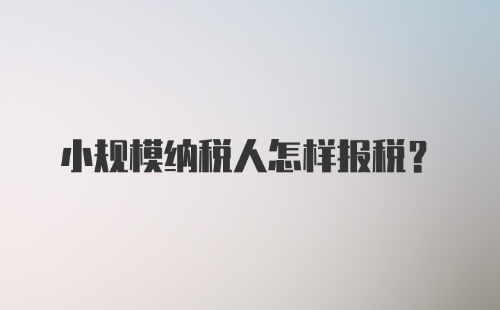 小规模纳税人怎样报税？