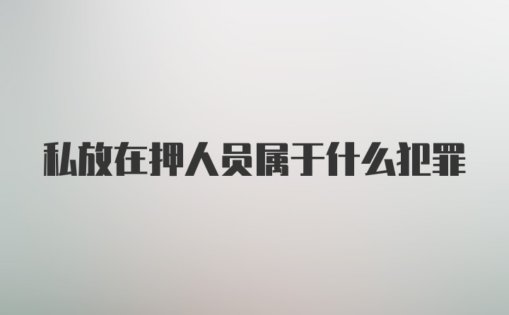 私放在押人员属于什么犯罪