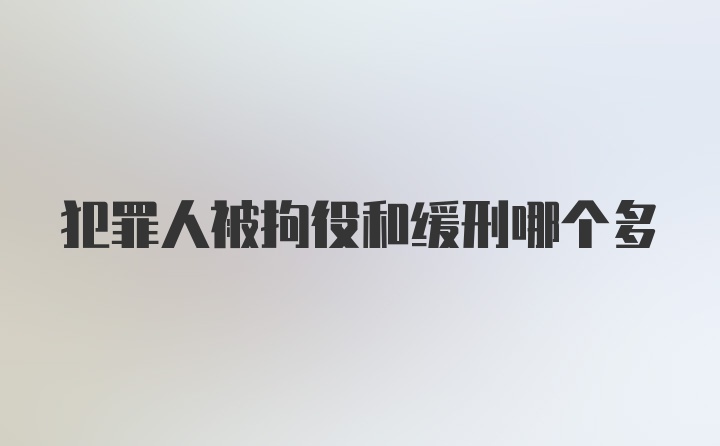 犯罪人被拘役和缓刑哪个多