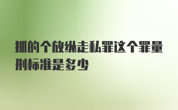 抓的个放纵走私罪这个罪量刑标准是多少