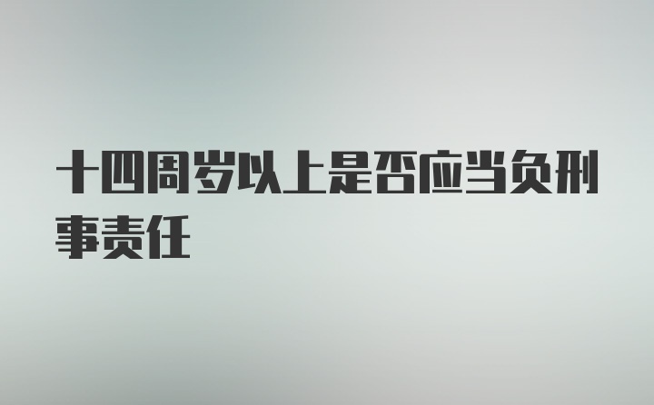 十四周岁以上是否应当负刑事责任