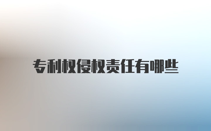 专利权侵权责任有哪些