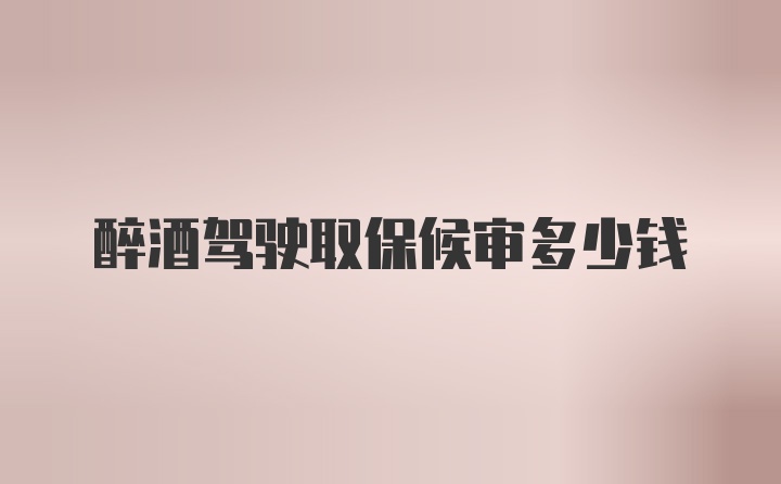 醉酒驾驶取保候审多少钱