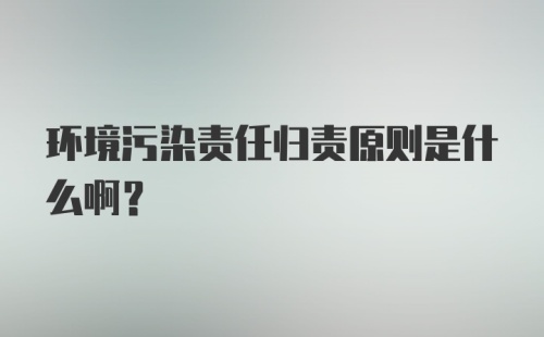 环境污染责任归责原则是什么啊?