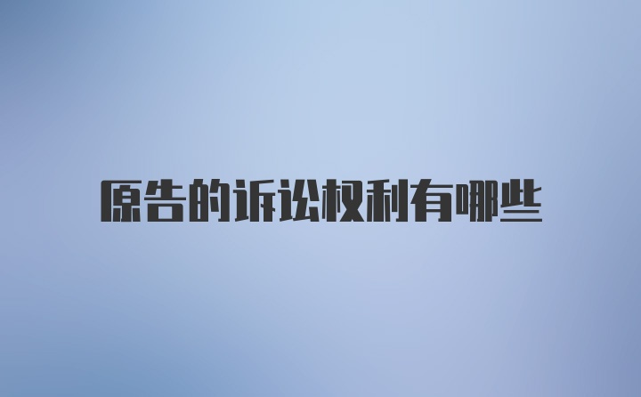 原告的诉讼权利有哪些