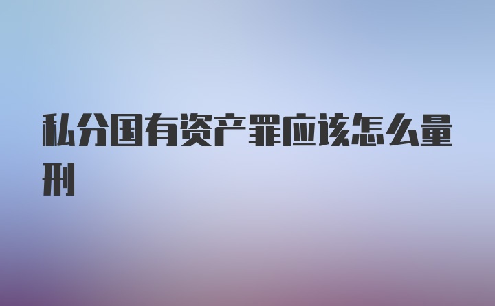 私分国有资产罪应该怎么量刑