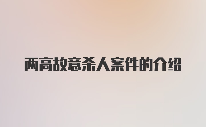 两高故意杀人案件的介绍