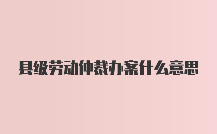 县级劳动仲裁办案什么意思