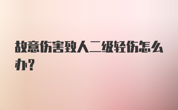 故意伤害致人二级轻伤怎么办？