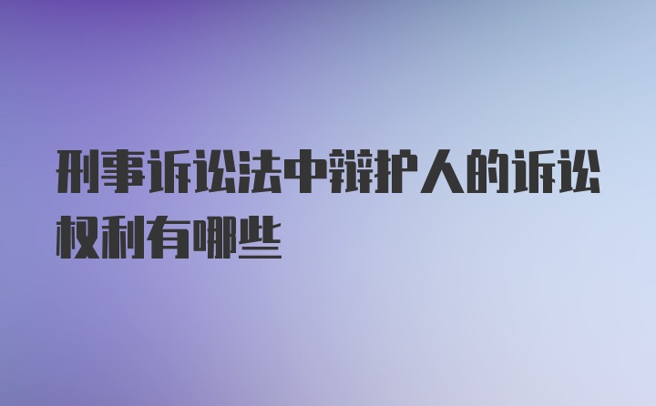 刑事诉讼法中辩护人的诉讼权利有哪些