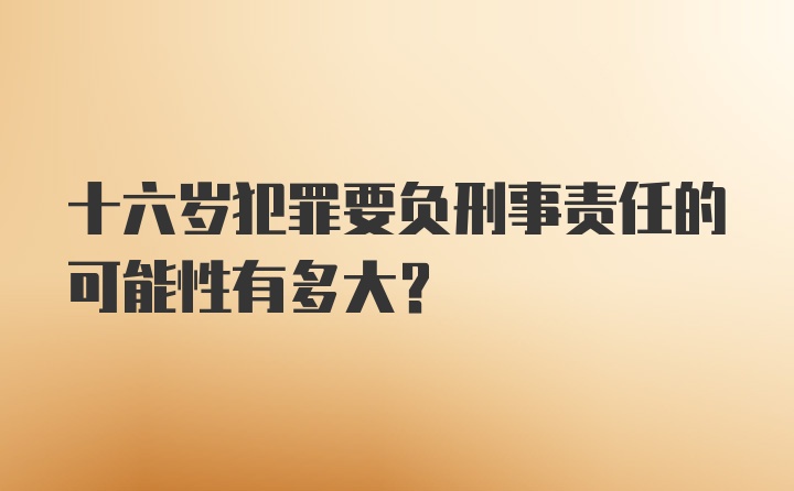 十六岁犯罪要负刑事责任的可能性有多大？