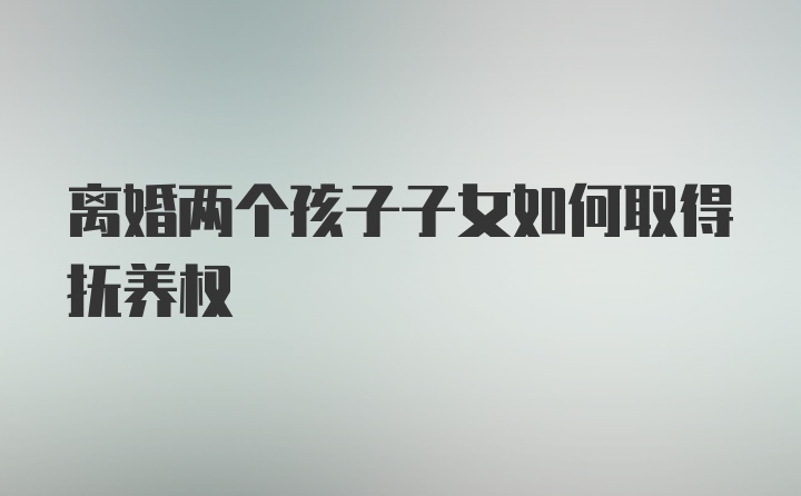 离婚两个孩子子女如何取得抚养权