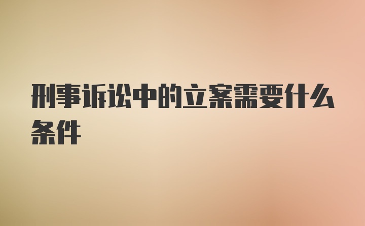 刑事诉讼中的立案需要什么条件