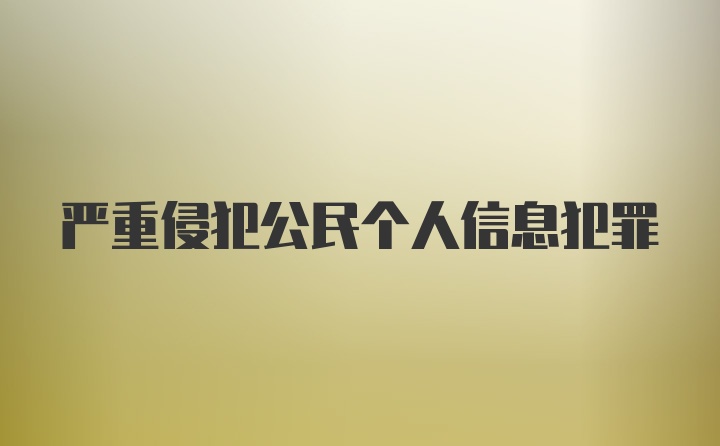 严重侵犯公民个人信息犯罪