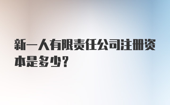 新一人有限责任公司注册资本是多少？