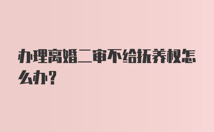 办理离婚二审不给抚养权怎么办？